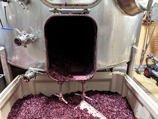 Harvest - Behind The Scenes - Quails' Gate Estate Winery