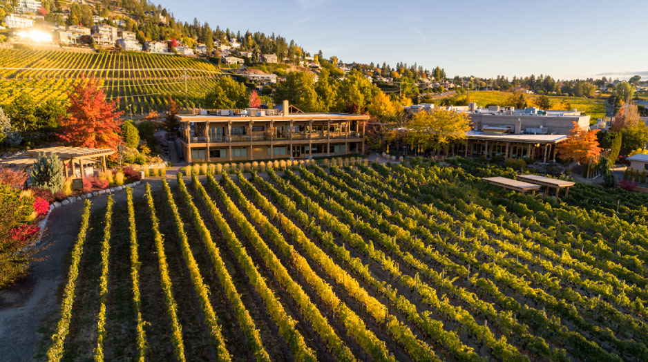 Quails-gate-vineyard.jpg