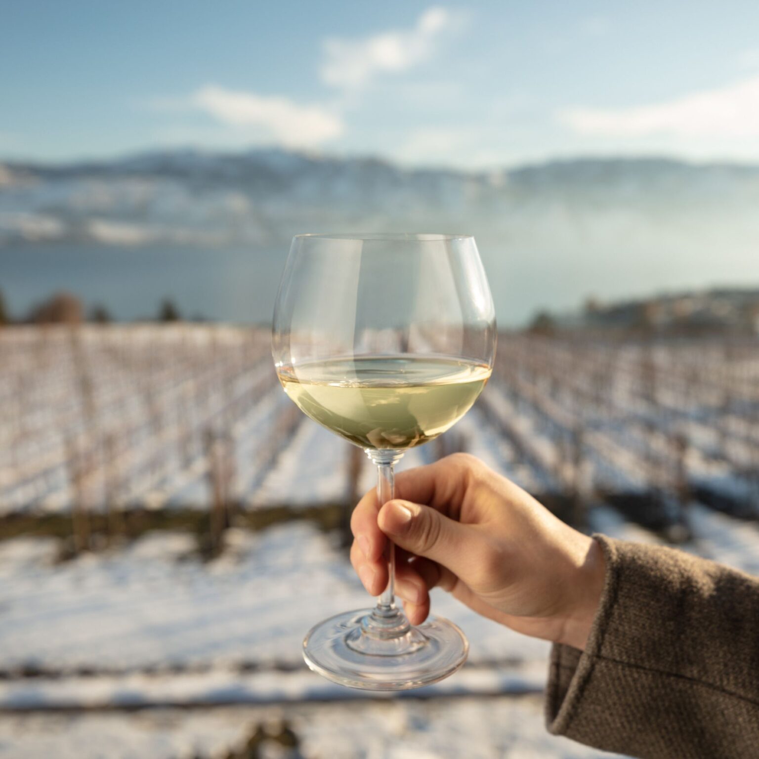 Tastings - Quails' Gate Estate Winery