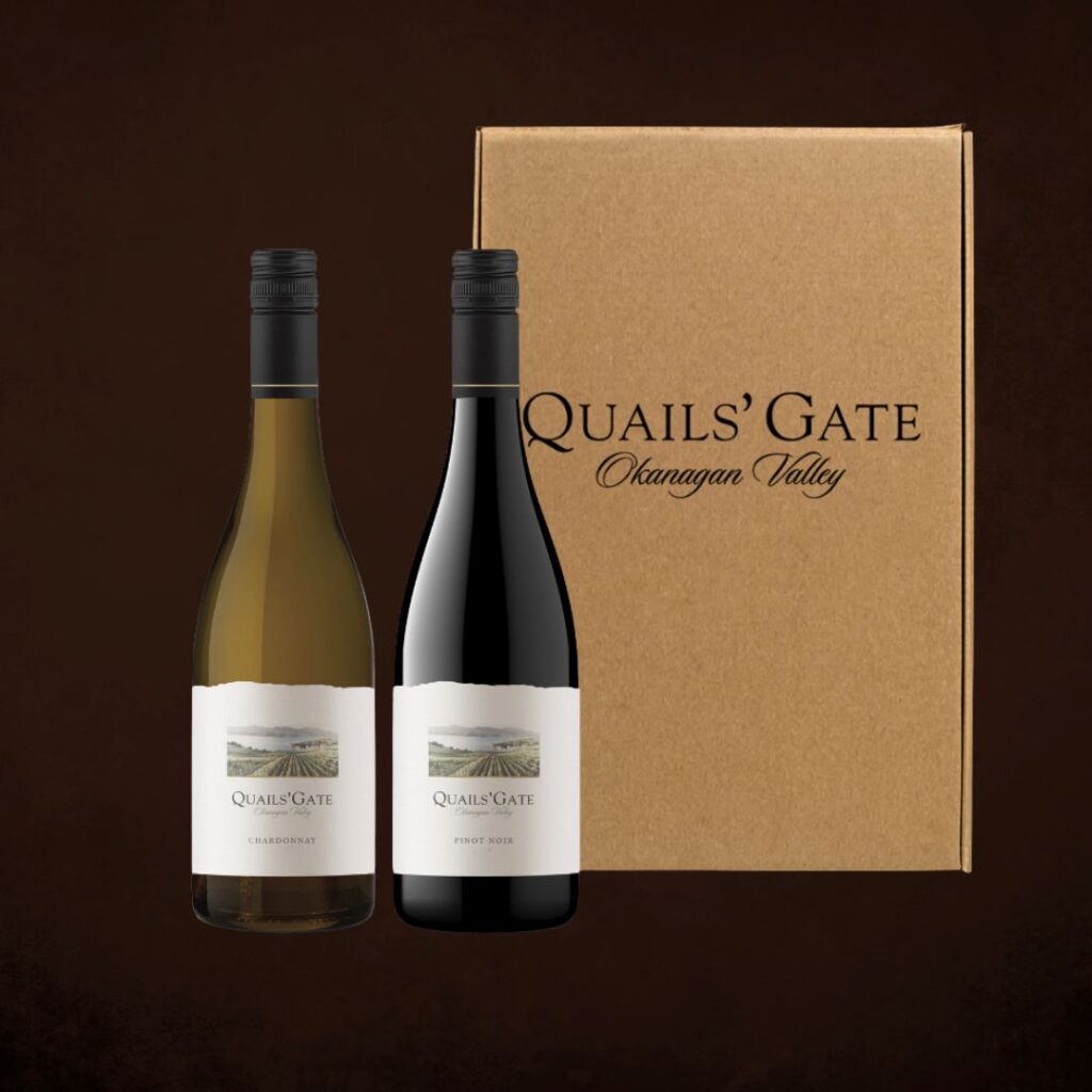 2 bottle cardboard