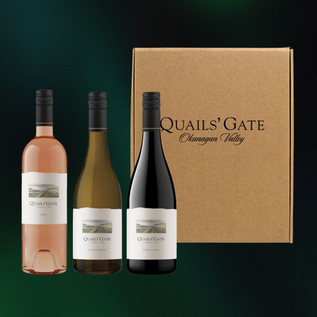 3 bottle cardboard