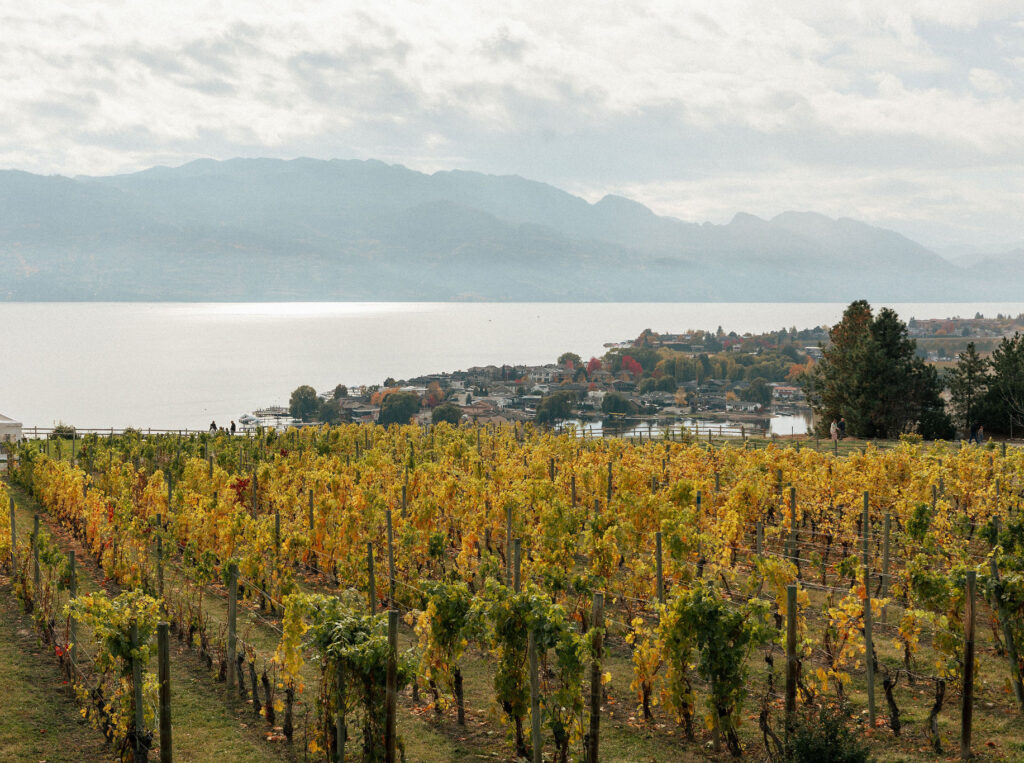 quails-gate-estate-winery-vineyard-and-view