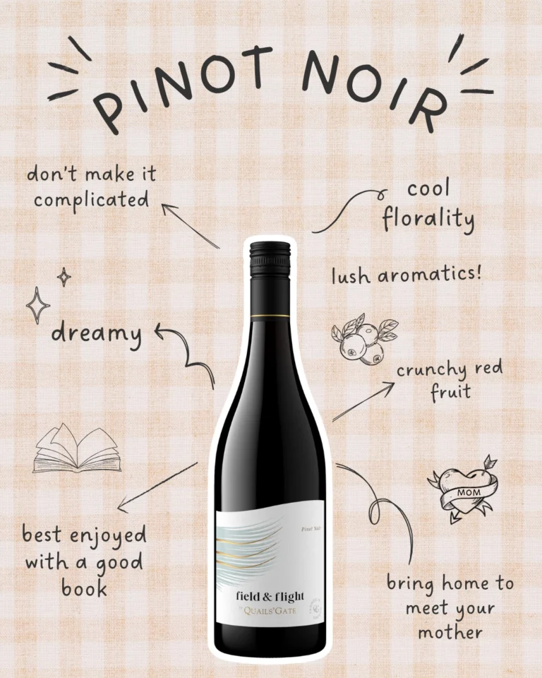 Bring this wine home to meet your mother 💫🤝🍒

Meet our 2025 Pinot Noir. In a word? Dreamy.

#fieldandflight #fieldandflightwine #pinotnoir #oregon #redwine