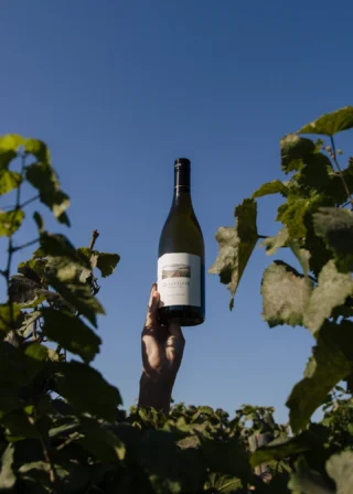 Our first Chardonnay clone was planted more than 30 years ago, and we have cultivated some of the oldest and most sought-after Chardonnay blocks in the region. 

The Estate Chardonnay is crafted to be bright, fresh, vivid and celebrated by all who drink it.

"A silky pillow of a chardonnay, with gentle viscosity, tender blossom and a subtle streak of salinity." | 91 Points
- Sara d'Amato

Shop our 2025 Estate Chardonnay directly from our estate, online or from your local liquor store.

#estatechardonnay #quailsgate #quailsgatechardonnay #quailsgateestate #estatecollection